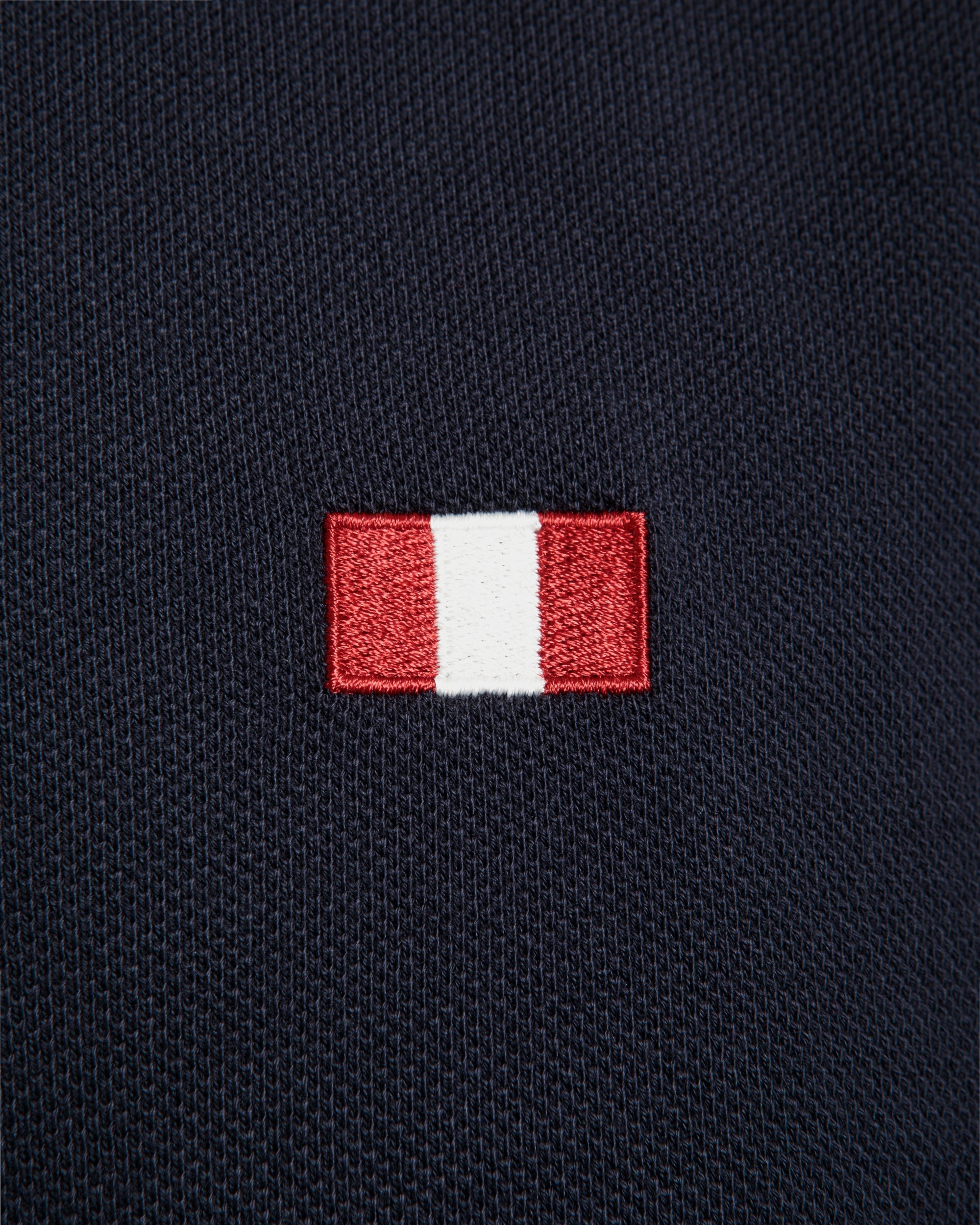 Polo Shirt With a Bally Flag in Navy Blue Cotton-6310650-(4)-Bally Indonesia.